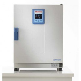 Инкубатор IGS180 (серии HERATHERM Compact) Thermo Fisher Scientific