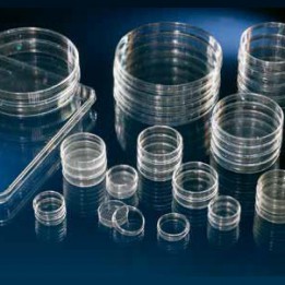 Чашка с поверхностью Nunclon 5мл #169558 Thermo Scientific Nunc