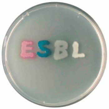 Хромогенная добавка ESBL | CHROMagar™ ESBL supplement CHROMagar