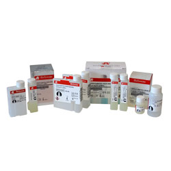 Бруцелла абортус BioSystems