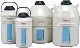 THERMO 10 Транспортный контейнер для жидкого азота Thermo Fisher Scientific