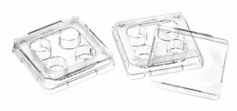 Планшет Необработанный 4-Луночный Thermo Scientific Nunc