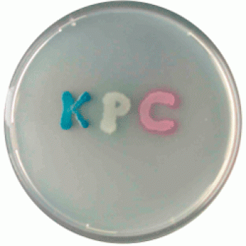 Хромогенная добавка KPC | CHROMagar™ KPC supplement CHROMagar
