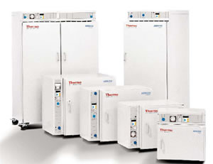 Микробиологические инкубаторы серии 6000 Модель В6030 Thermo Fisher Scintific